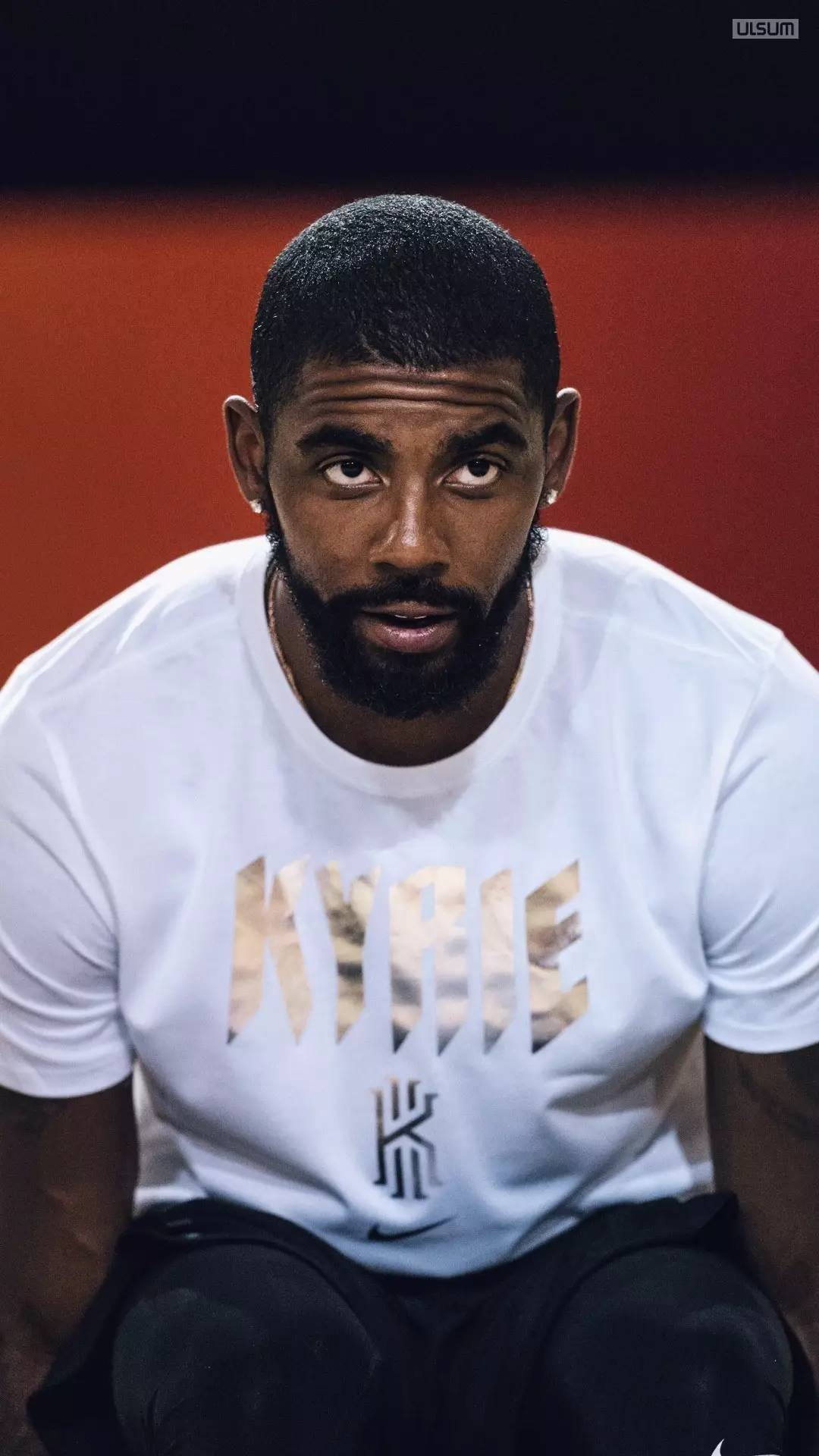 案例分析 案例分析